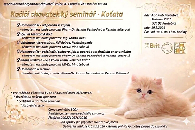 Kočičí chovatelský seminář - Koťata