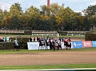 Velkou pardubickou ovládl irský Final Orders. Faltejsek prohrál o desetinu sekundy, Neprašová dojela čtvrtá
