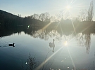 Ekoden pro školy přivede do Kladna plazy, netopýry i film o české přírodě