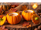 Halloween klepe na dveře a Vánoce už jsou za rohem!