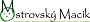 Logo partnera