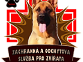 Záchranná a odchytová služba pokračuje a po nelehkém období znovu nabízí pomoc zvířatům v celém kraji